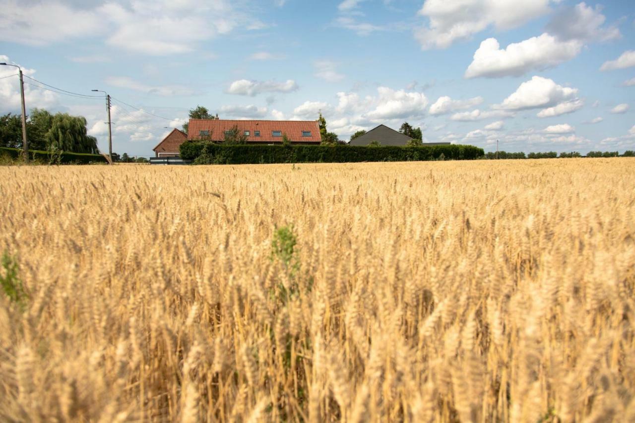 Gites De La Vesee La Chapelle d'Armentieres Exterior foto